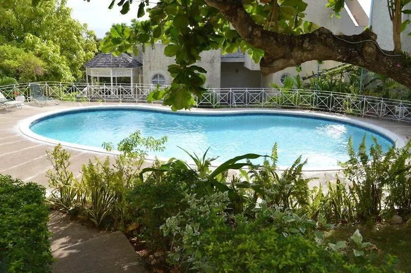Chill On The Hill Apartment Ocho Rios 0*,
